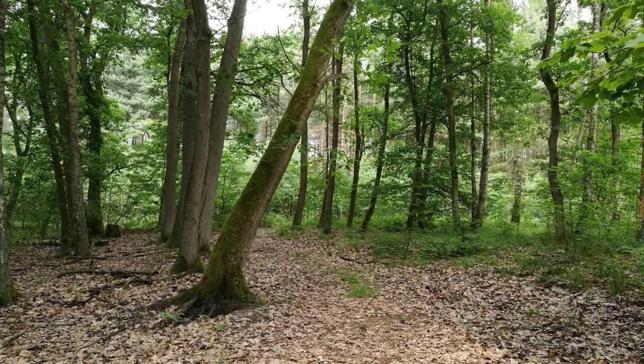 Ferienhaus Dora Villa Rechlin Luaran gambar