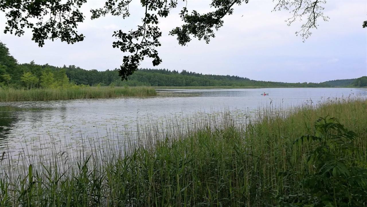 Ferienhaus Dora Villa Rechlin Luaran gambar